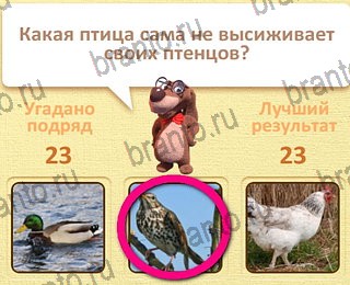 Пушистые вопросы - ответы к игре в Одноклассниках: СЕЗОН 1