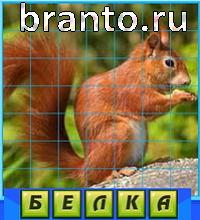 Путаница - ответы