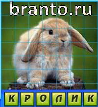 Путаница - ответы