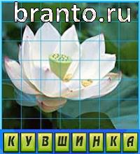 Путаница - ответы