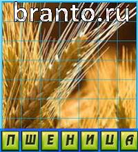 Путаница - ответы