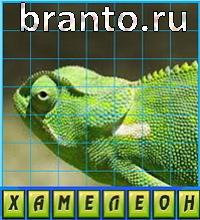 Путаница - ответы