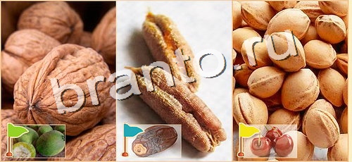 Расставляйка: ответы на игру в Одноклассниках