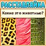 Расставляйка: ответы на игру в Одноклассниках