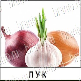 Разгадай слово - ответы к игре