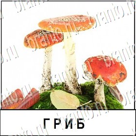 Разгадай слово - ответы к игре