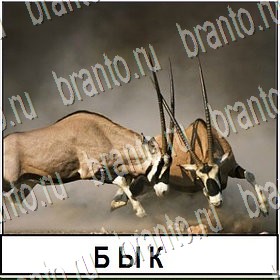 Разгадай слово - ответы к игре