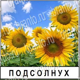 Разгадай слово - ответы к игре
