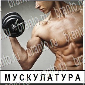 Разгадай слово - ответы к игре
