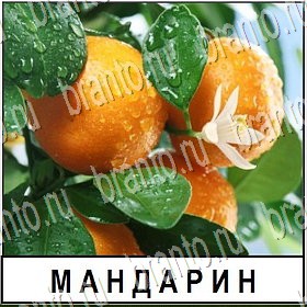 Разгадай слово - ответы к игре