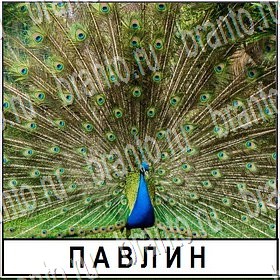 Разгадай слово - ответы к игре