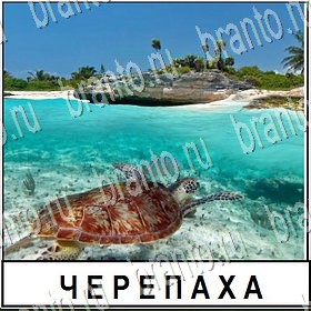 Разгадай слово - ответы к игре