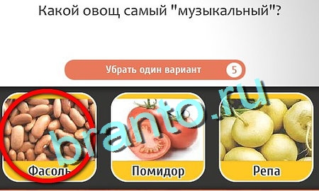 Игра Кто самый-самый в Одноклассниках - ответы