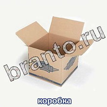 Ответы на игру Следопыты: спасите котёнка