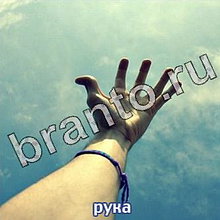 Ответы на игру Следопыты: спасите котёнка