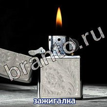 Ответы на игру Следопыты: спасите котёнка