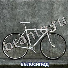 Ответы на игру Следопыты: спасите котёнка
