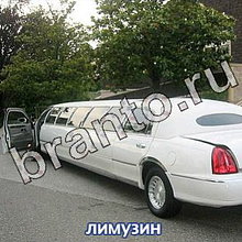 Ответы на игру Следопыты: спасите котёнка