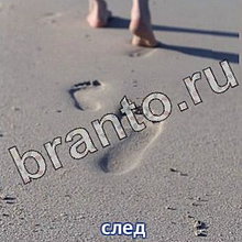 Ответы на игру Следопыты: спасите котёнка