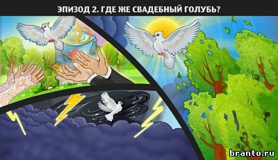Ответы на игру Следопыты: спасите котёнка