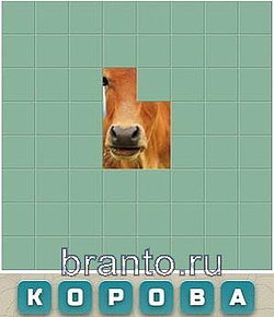 Ответы на игру Словария ВКонтакте