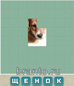 Ответы на игру Словария ВКонтакте