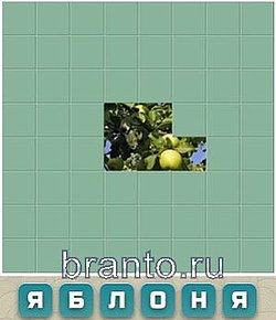 Ответы на игру Словария ВКонтакте