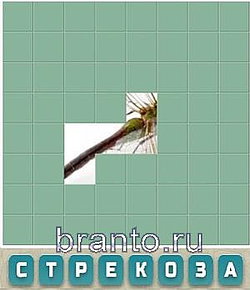 Ответы на игру Словария ВКонтакте