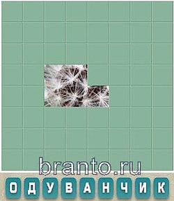 Ответы на игру Словария ВКонтакте