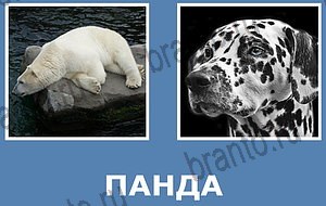 "Смешай картинки" - ответы на все уровни игры