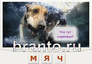 Телепат - ответы на игру