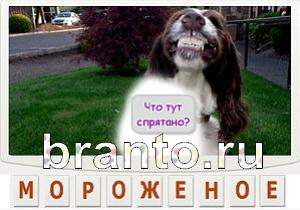 Телепат - ответы на игру
