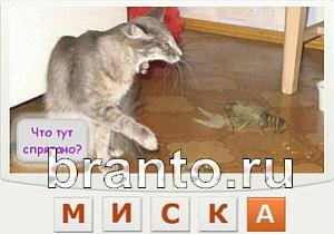 Телепат - ответы на игру