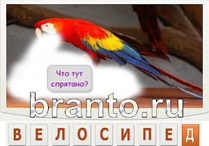 Телепат - ответы на игру