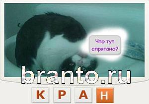 Телепат - ответы на игру