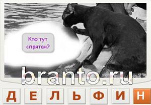 Телепат - ответы на игру