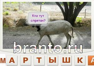 Телепат - ответы на игру