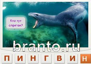 Телепат - ответы на игру
