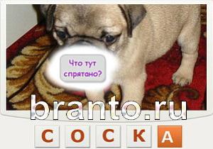 Телепат - ответы на игру
