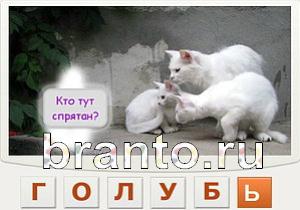 Телепат - ответы на игру