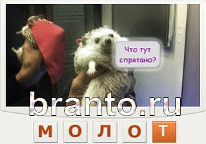 Телепат - ответы на игру