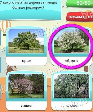 Угадай, 4 картинки, 4 слова, викторина - ответы к игре