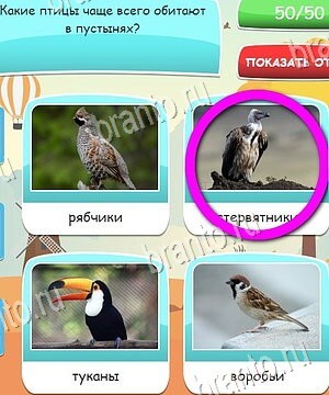 Угадай, 4 картинки, 4 слова, викторина - ответы к игре