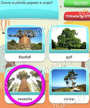 Угадай, 4 картинки, 4 слова, викторина - ответы к игре