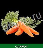 Food Quiz - ответы на все уровни игры