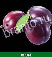 Food Quiz - ответы на все уровни игры