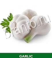Food Quiz - ответы на все уровни игры