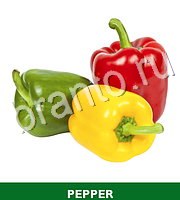 Food Quiz - ответы на все уровни игры