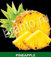 Food Quiz - ответы на все уровни игры