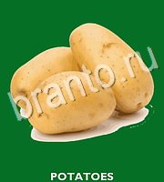 Food Quiz - ответы на все уровни игры